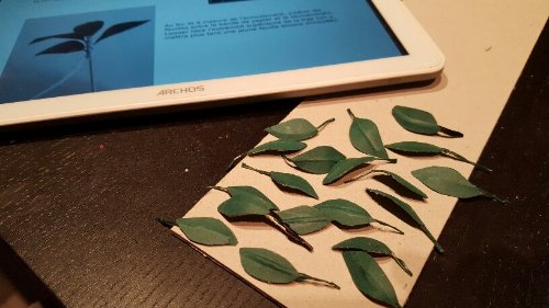 20180220_222827-1-816x459.jpg
